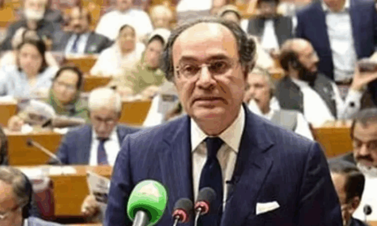 Aurangzeb defends FY2025-26 budget as pro-growth and relief-oriented