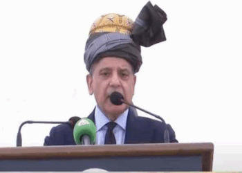 PM Shehbaz forms committee to review KP's NFC Award share