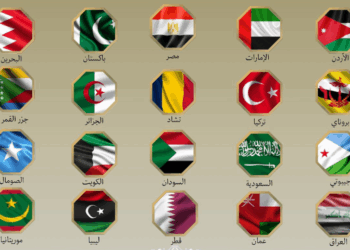 20 Arab and Muslim nations condemn Israeli strikes, call for immediate de-escalation