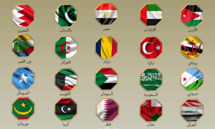 20 Arab and Muslim nations condemn Israeli strikes, call for immediate de-escalation