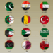 20 Arab and Muslim nations condemn Israeli strikes, call for immediate de-escalation