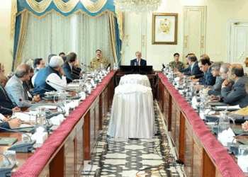 PM Shehbaz forms special committee after media reports on tax defaulters' arrests