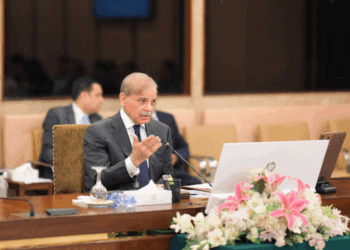 Iran expresses rare gratitude to Pakistan amid Israel conflict: PM Shehbaz