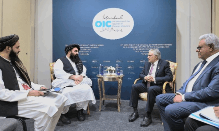 Afghanistan, Pakistan urge expansion of practical cooperation at OIC Summit