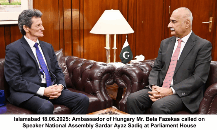 NA Speaker emphasizes need for stronger Pakistan-Hungary ties