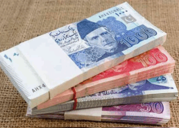 Budget 2025–26: 10% salary increase approved for government employees