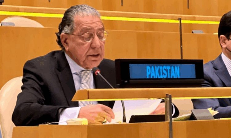Pakistan becomes vice-chair of UNSC counter-terrorism committee