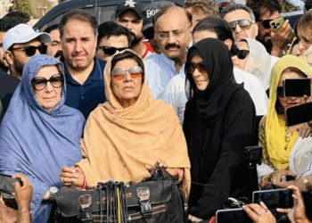 Imran Khan directs PTI to launch anti-government movement after 10th Muharram