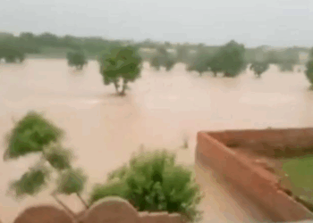 Torrential rains kill 54 in 24 hours; urban flooding grips Islamabad, Rawalpindi as Punjab battles monsoon havoc