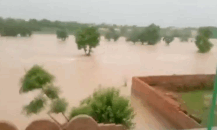 Torrential rains kill 54 in 24 hours; urban flooding grips Islamabad, Rawalpindi as Punjab battles monsoon havoc