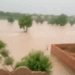 Torrential rains kill 54 in 24 hours; urban flooding grips Islamabad, Rawalpindi as Punjab battles monsoon havoc