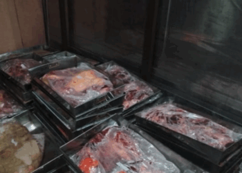 Foreigner arrested in Islamabad for running illegal donkey meat operation