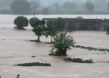 Punjab records highest death toll in monsoon-related incidents: NDMA