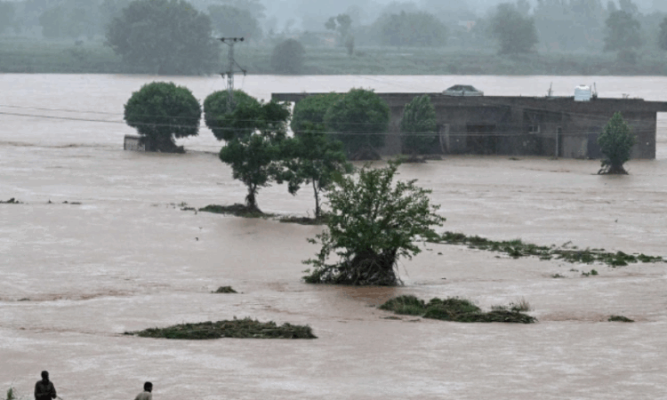 Punjab records highest death toll in monsoon-related incidents: NDMA