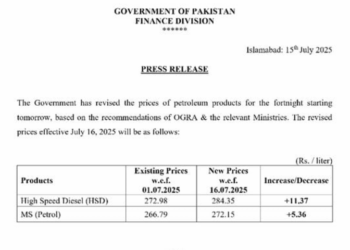 Fuel shock: govt slaps public with another petrol, diesel price bomb