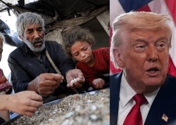 US to establish 'food centres' in Gaza amid worsening hunger crisis