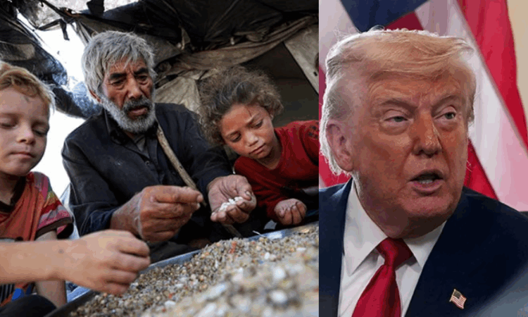 US to establish 'food centres' in Gaza amid worsening hunger crisis