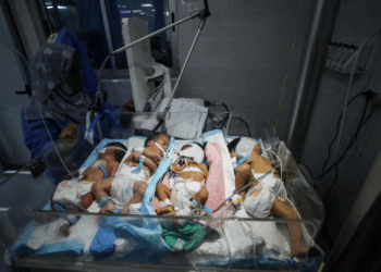 Gaza doctors forced to cram babies into incubators as fuel crisis threatens hospitals