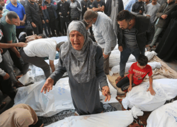 51 more Palestinians martyred in Gaza, amid mounting humanitarian crisis