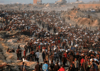 Malnutrition crisis deepens in Gaza as children bear the brunt