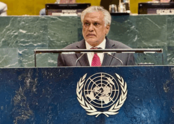 Dar urges debt relief and grant-based support for developing countries at UN forum