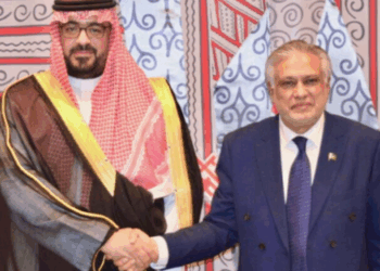 Pakistan, Saudi Arabia reaffirm commitment to investment and economic cooperation