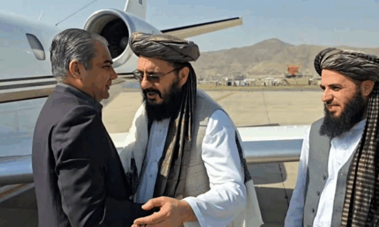 Mohsin Naqvi undertakes day-long visit to Kabul