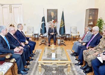 Pakistan to deepen trade, technology, and defence ties with Türkiye: PM Shehbaz