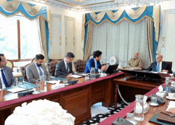 PM Shehbaz forms committee to accelerate growth of e-commerce sector