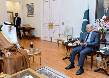 PM appreciates Saudi role in Middle East peace, Pakistan-India ceasefire