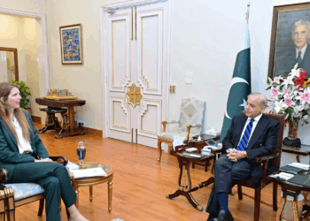 PM reiterates offer for dialogue with India, welcomes UK support amid regional tensions