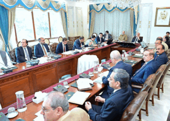 PM urges swift implementation of digital transformation plan to ensure transparency