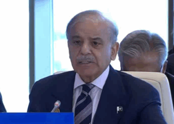 PM Shehbaz slams Indian aggression, warns against weaponization of water at ECO Summit