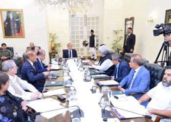 FBR launches Pakistan’s first AI-powered customs clearance and risk management system