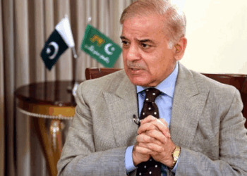 PM Shehbaz directs NDMA, rescue agencies to remain on high alert amid heavy rains