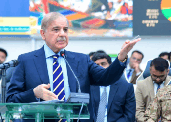PM Shehbaz urges proactive strategy for future monsoon and cloudburst emergencies