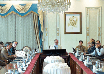 PM Shehbaz approves formation of modern digital ecosystem in FBR