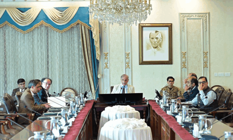 PM Shehbaz approves formation of modern digital ecosystem in FBR