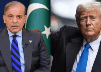 PM Shehbaz thanks Trump for ‘historic’ US-Pakistan trade deal on oil cooperation