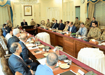 Pakistan determined to root out scourge of terrorism, says PM Shehbaz