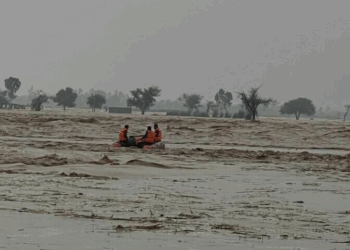Punjab enforces section 144 amid monsoon emergency as death toll climbs to 103