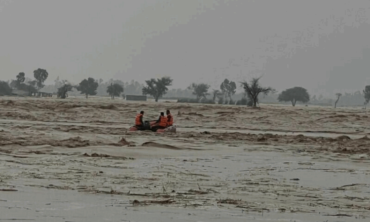Punjab enforces section 144 amid monsoon emergency as death toll climbs to 103