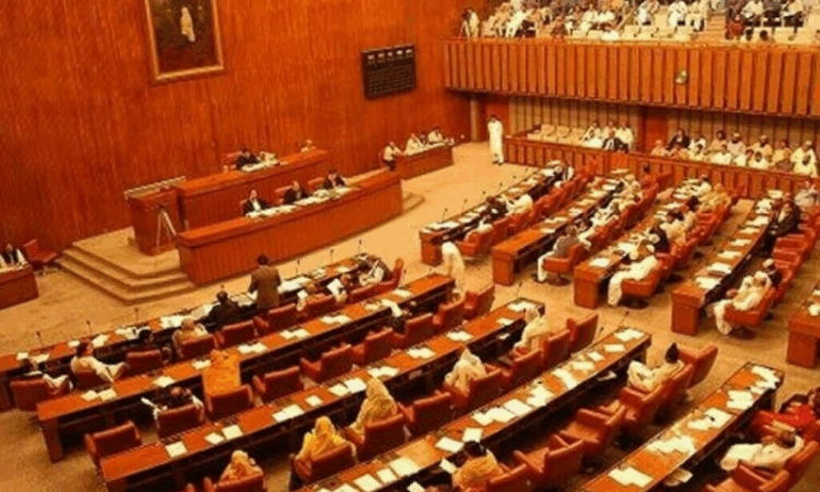 Senate passes bill to abolish death penalty for major crimes against women