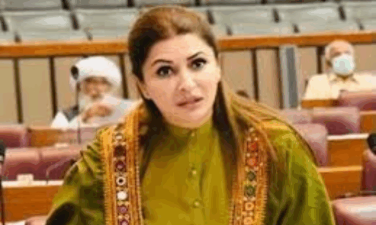 Shazia Marri dismisses rumors of President Zardari’s resignation