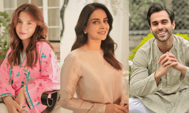 Pakistani celebrities' social media accounts blocked again in India after brief restoration