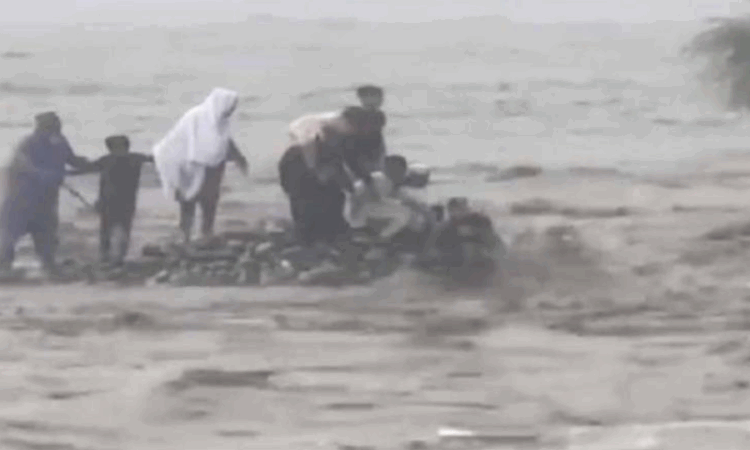 Negligence by multiple departments uncovered in Swat River tragedy: PHC told