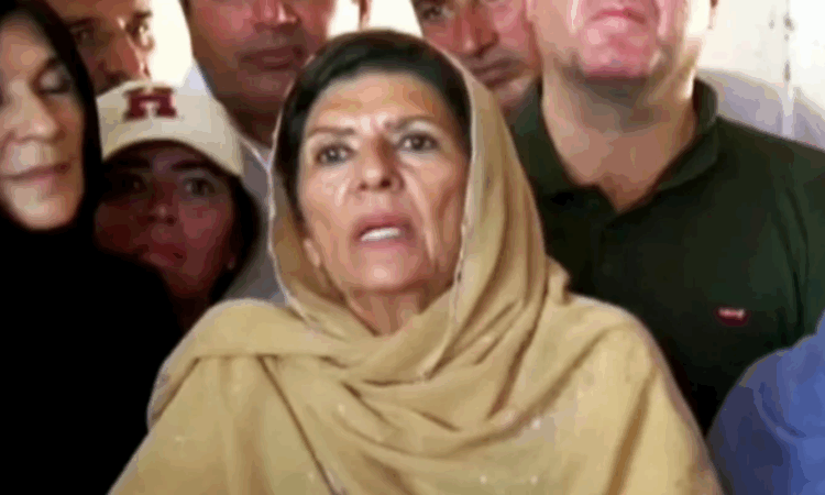 Imran orders PTI lawmakers to quit all parliamentary committees: Aleema Khan