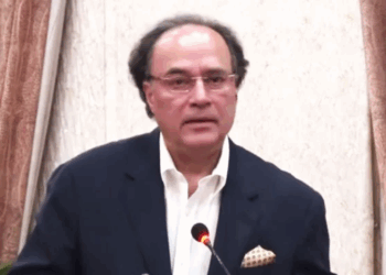 Govt committed to boost digital investment: FinMin Aurangzeb