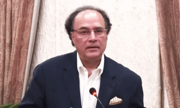 Govt committed to boost digital investment: FinMin Aurangzeb