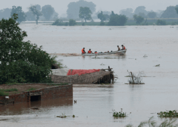 Torrential rains deepen flood misery in Punjab; more villages submerged